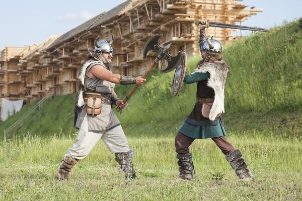 Viking warriors